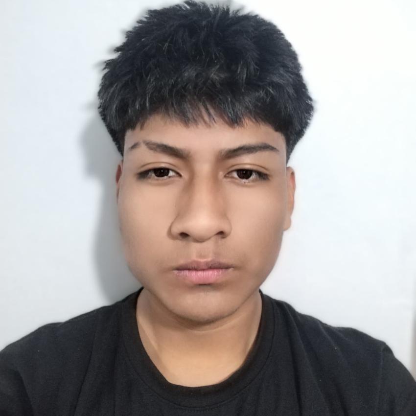 User Image