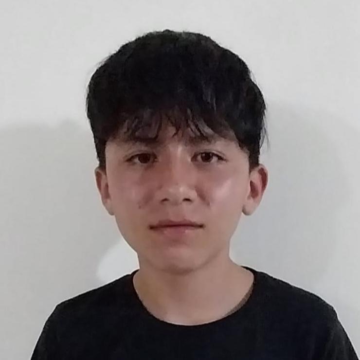 User Image