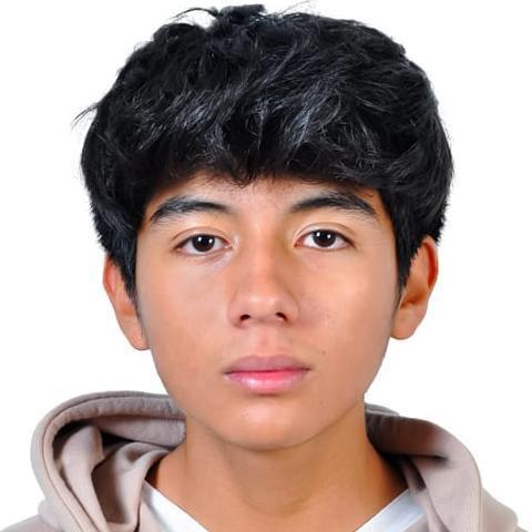 User Image